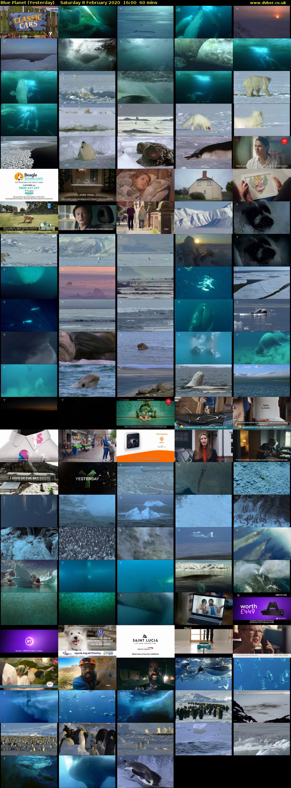 Blue Planet (Yesterday) Saturday 8 February 2020 16:00 - 17:00