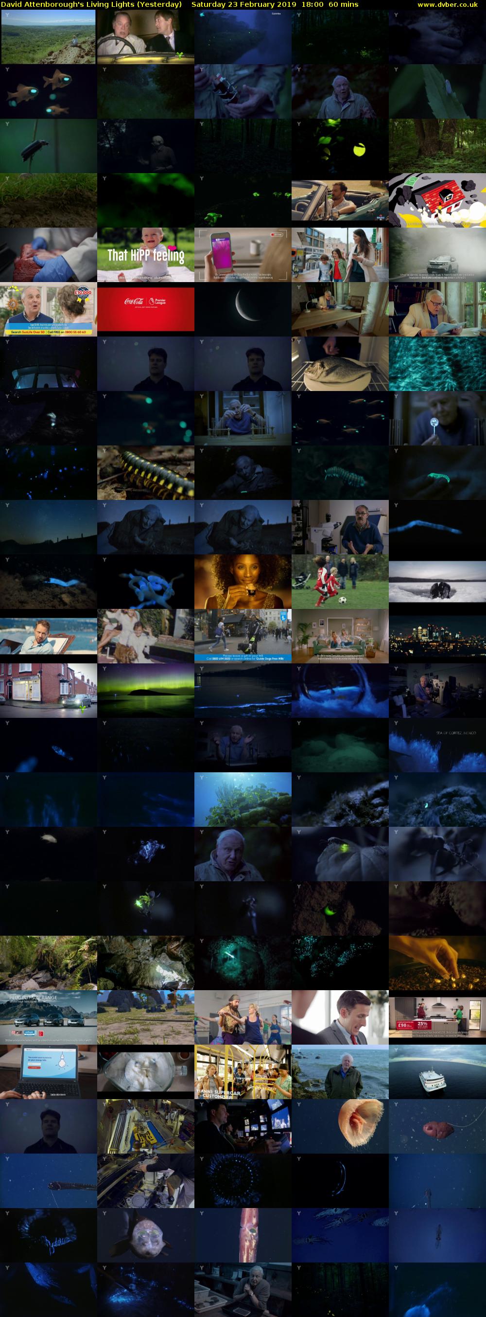 David Attenborough's Living Lights (Yesterday) Saturday 23 February 2019 18:00 - 19:00