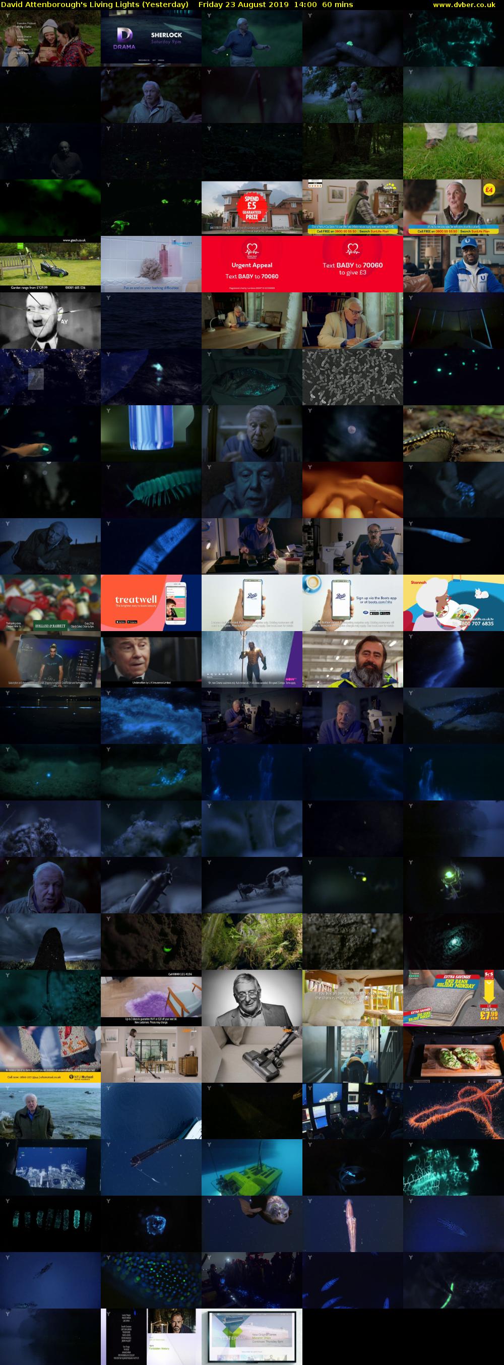 David Attenborough's Living Lights (Yesterday) Friday 23 August 2019 14:00 - 15:00