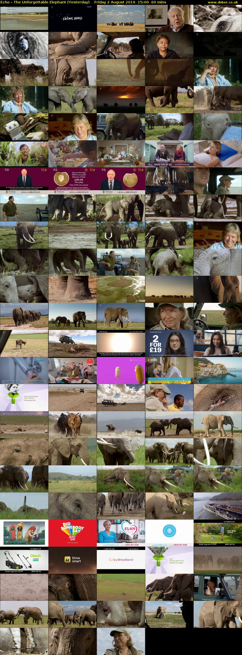 Echo - The Unforgettable Elephant (Yesterday) Friday 2 August 2019 15:00 - 16:00