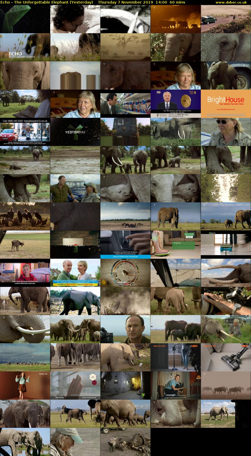 Echo - The Unforgettable Elephant (Yesterday) Thursday 7 November 2019 14:00 - 15:00