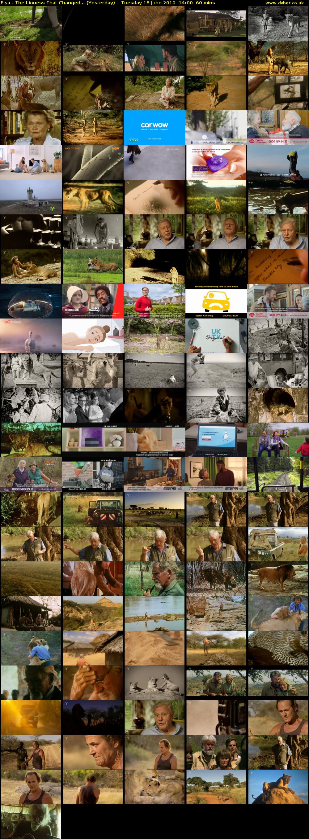 Elsa - The Lioness That Changed... (Yesterday) Tuesday 18 June 2019 14:00 - 15:00