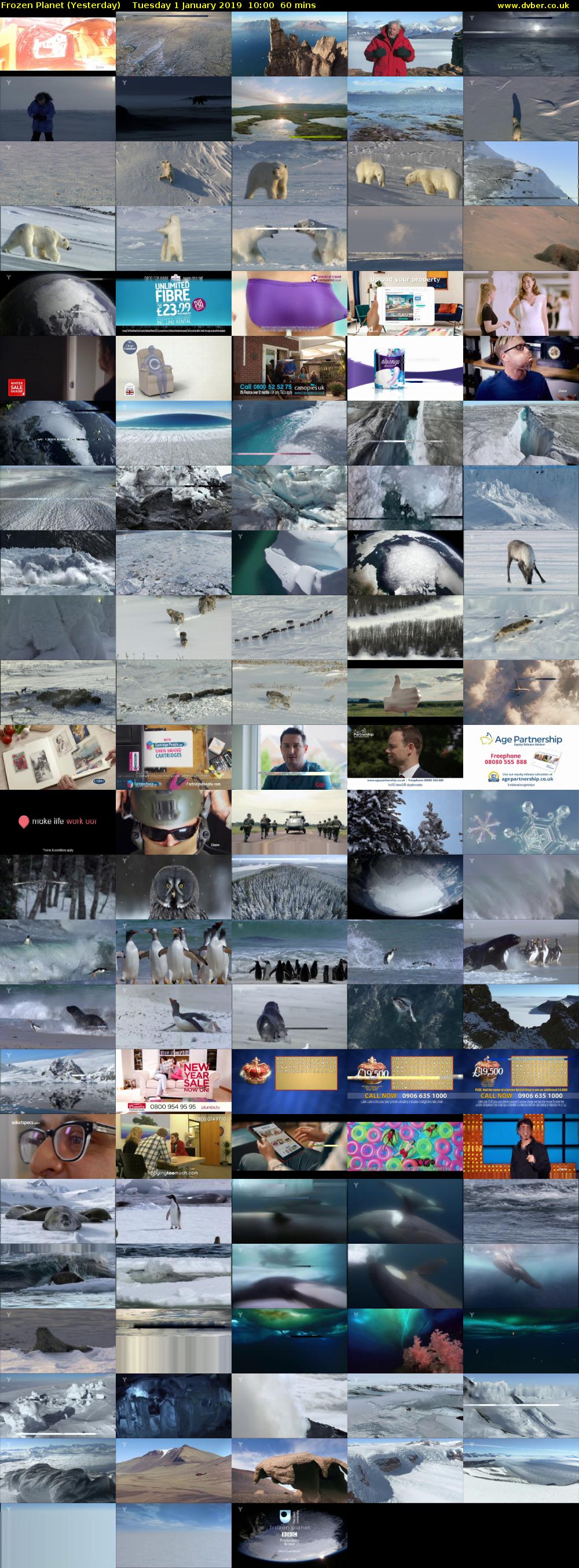 Frozen Planet (Yesterday) Tuesday 1 January 2019 10:00 - 11:00