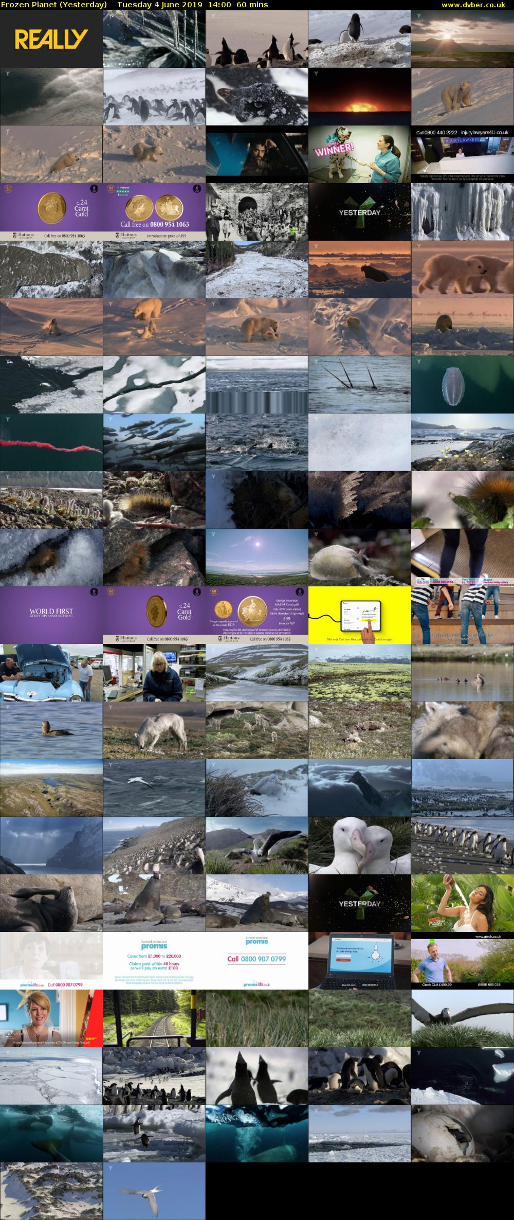 Frozen Planet (Yesterday) Tuesday 4 June 2019 14:00 - 15:00
