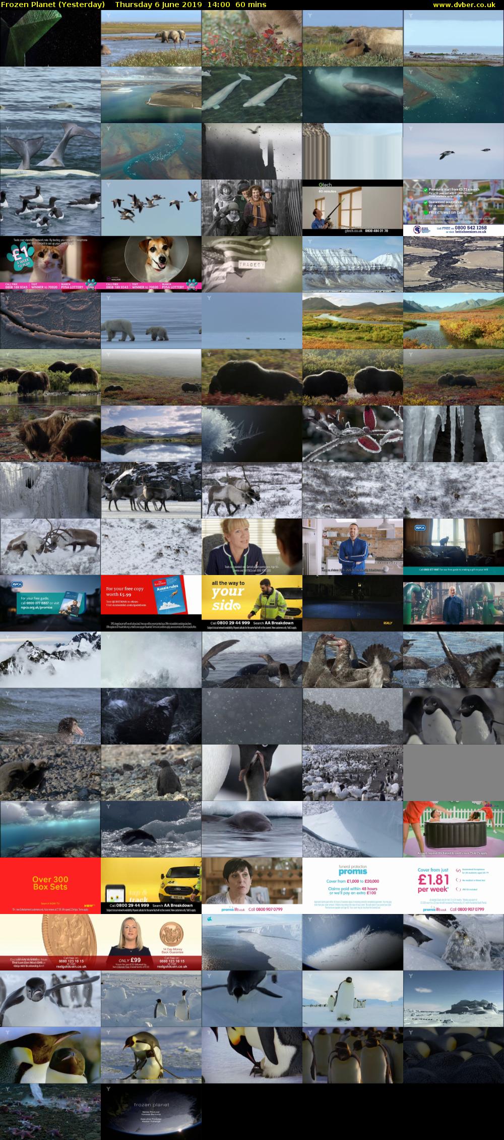Frozen Planet (Yesterday) Thursday 6 June 2019 14:00 - 15:00