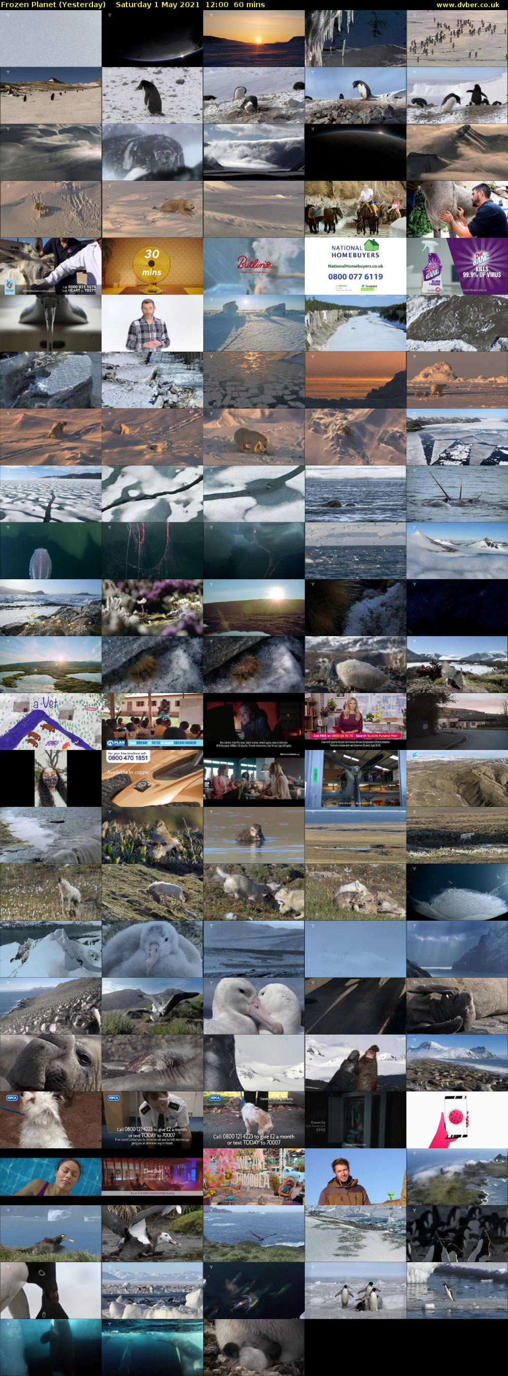 Frozen Planet (Yesterday) Saturday 1 May 2021 12:00 - 13:00