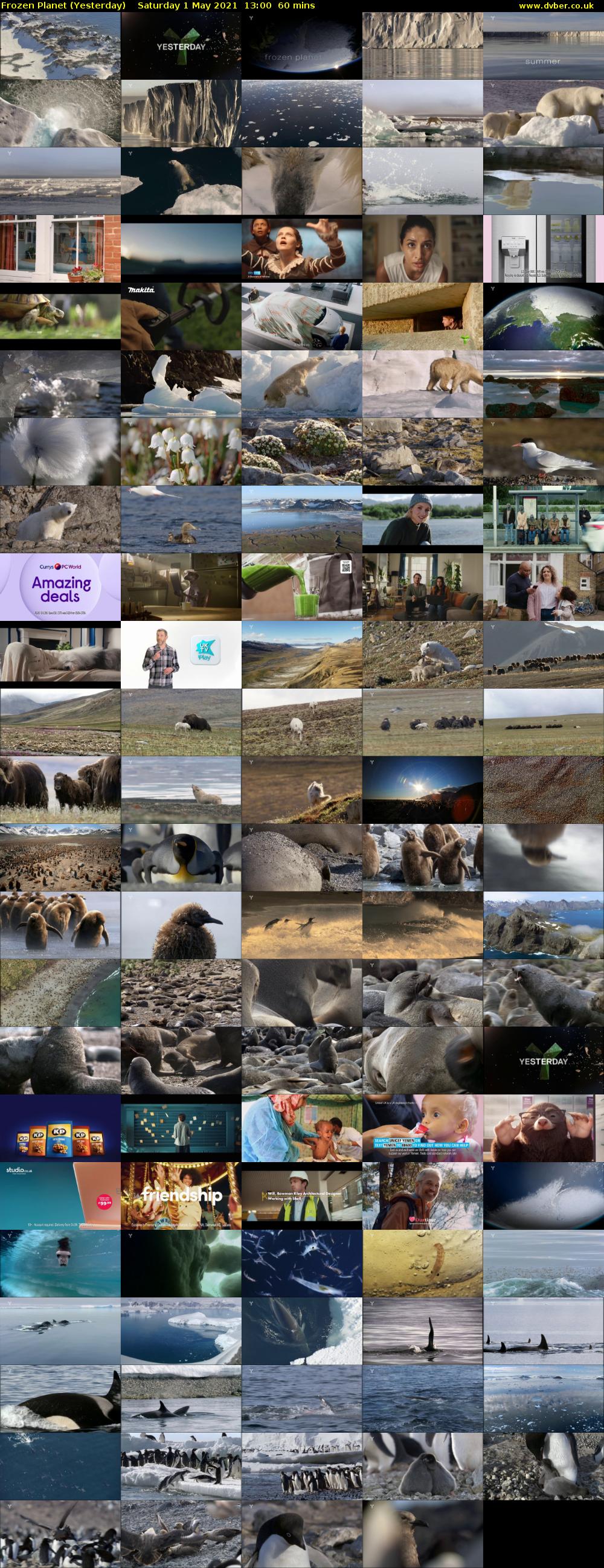 Frozen Planet (Yesterday) Saturday 1 May 2021 13:00 - 14:00