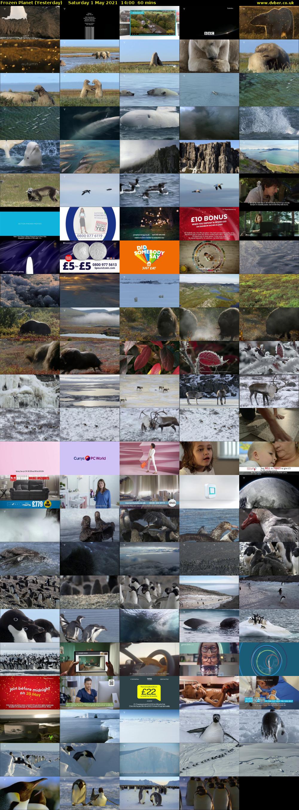 Frozen Planet (Yesterday) Saturday 1 May 2021 14:00 - 15:00