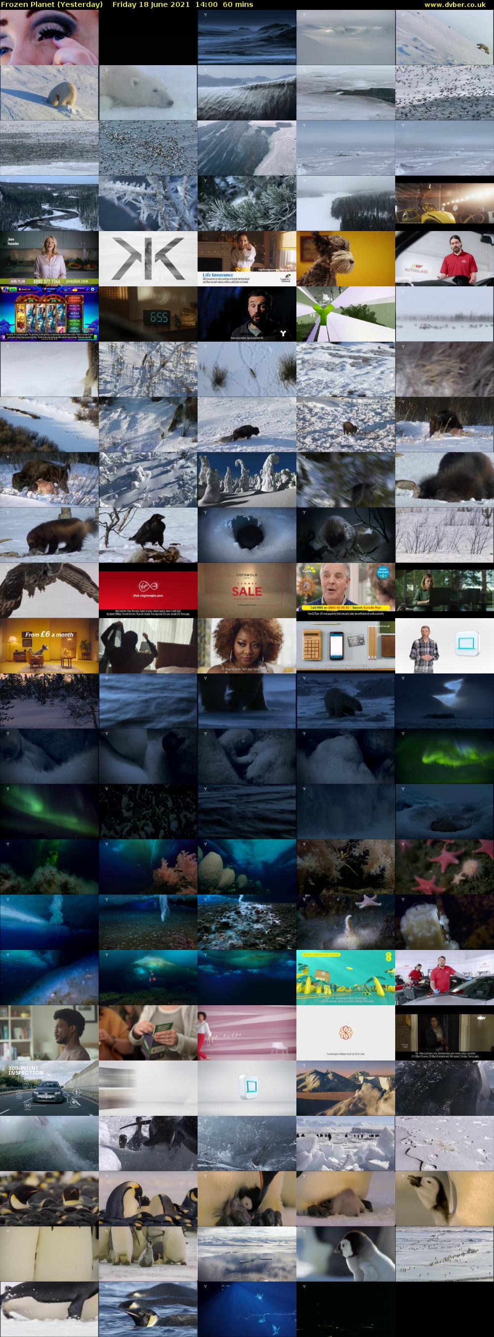 Frozen Planet (Yesterday) Friday 18 June 2021 14:00 - 15:00