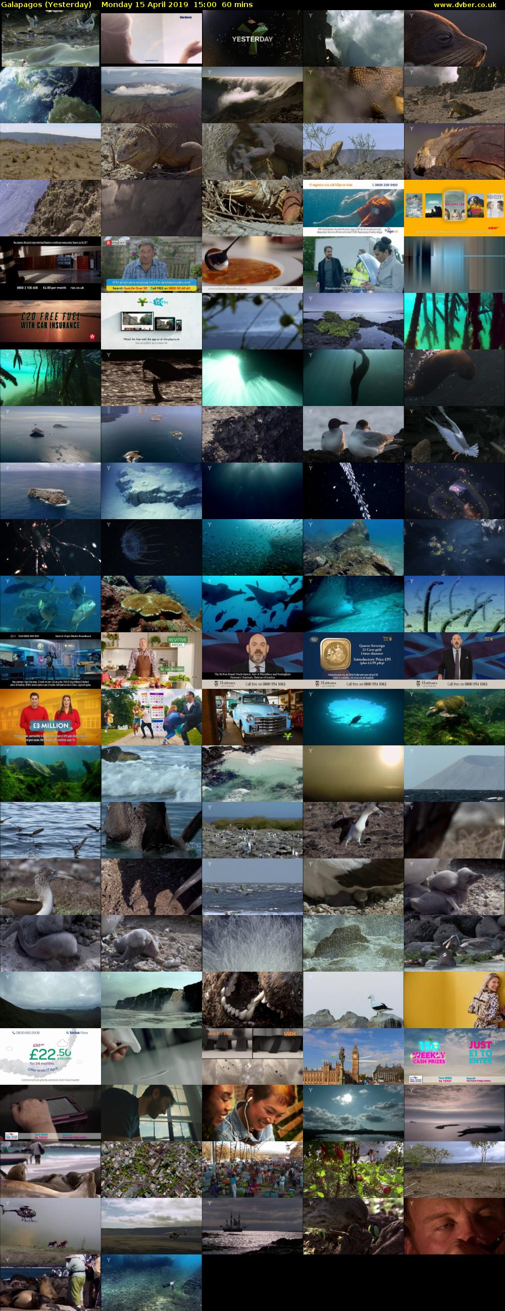Galapagos (Yesterday) Monday 15 April 2019 15:00 - 16:00