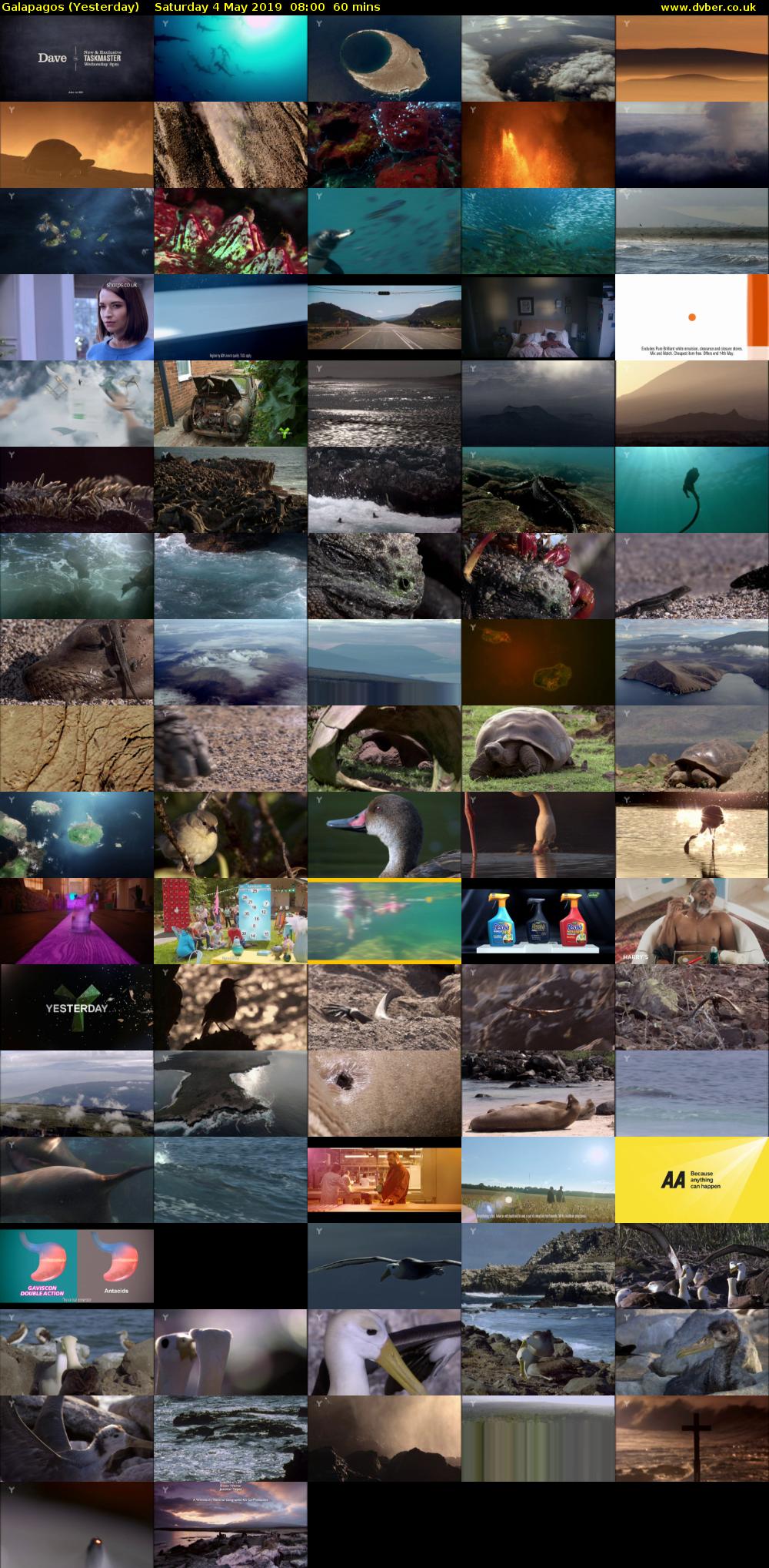 Galapagos (Yesterday) Saturday 4 May 2019 08:00 - 09:00