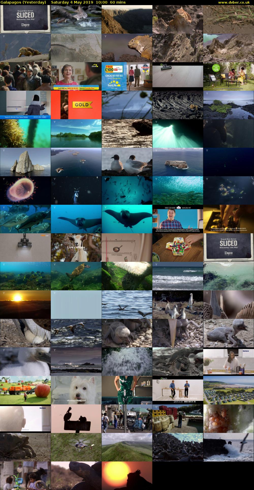 Galapagos (Yesterday) Saturday 4 May 2019 10:00 - 11:00