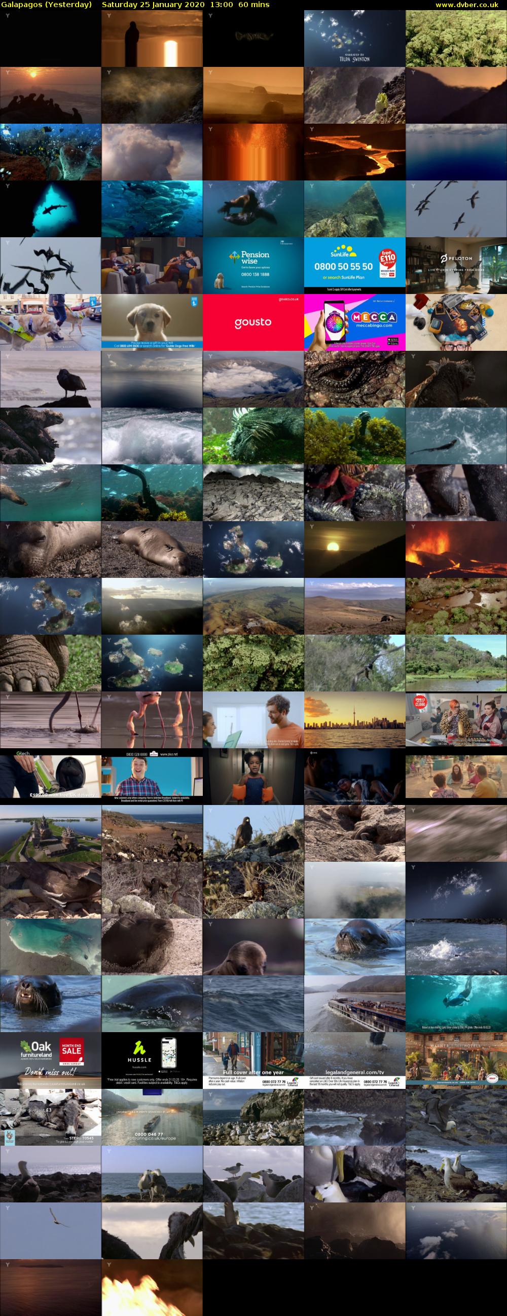 Galapagos (Yesterday) Saturday 25 January 2020 13:00 - 14:00