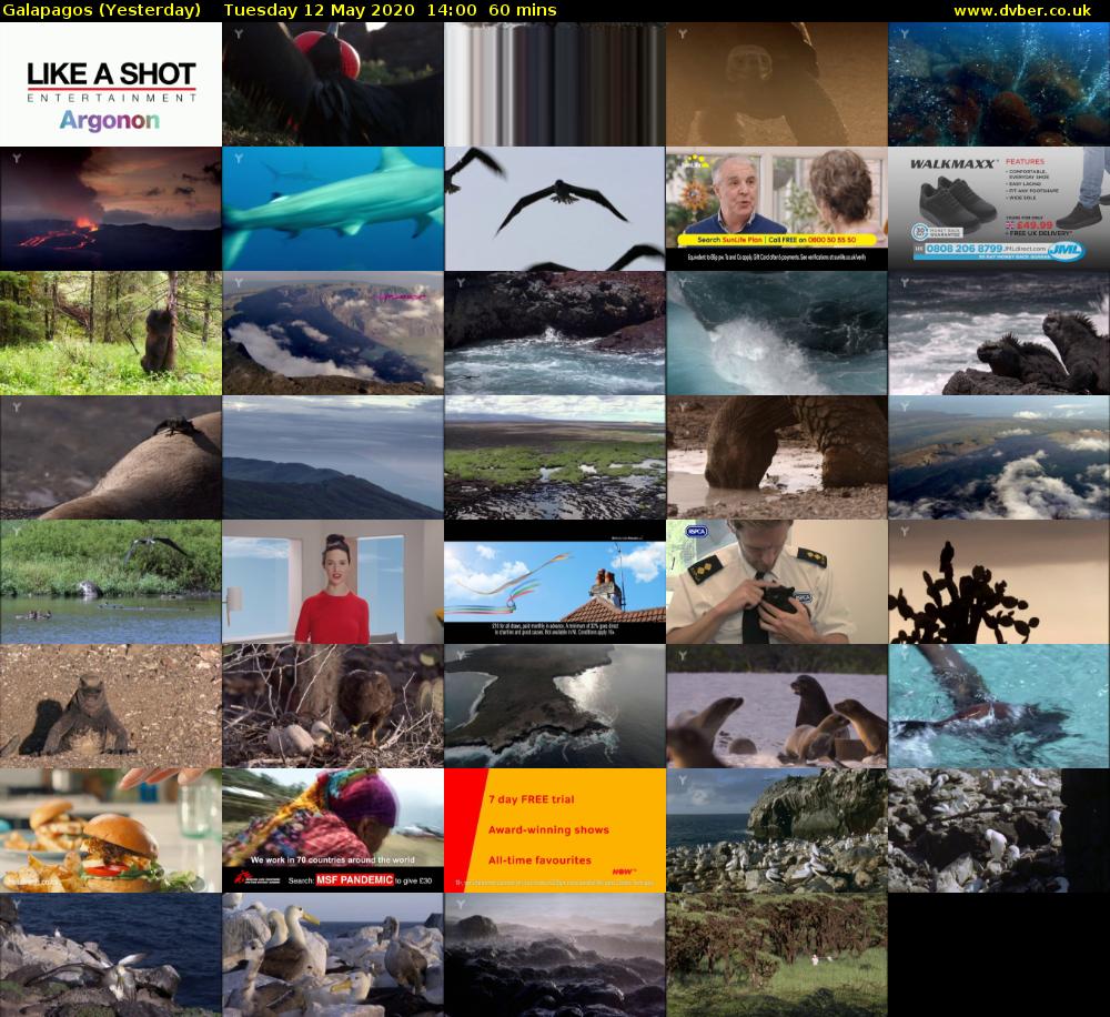 Galapagos (Yesterday) Tuesday 12 May 2020 14:00 - 15:00