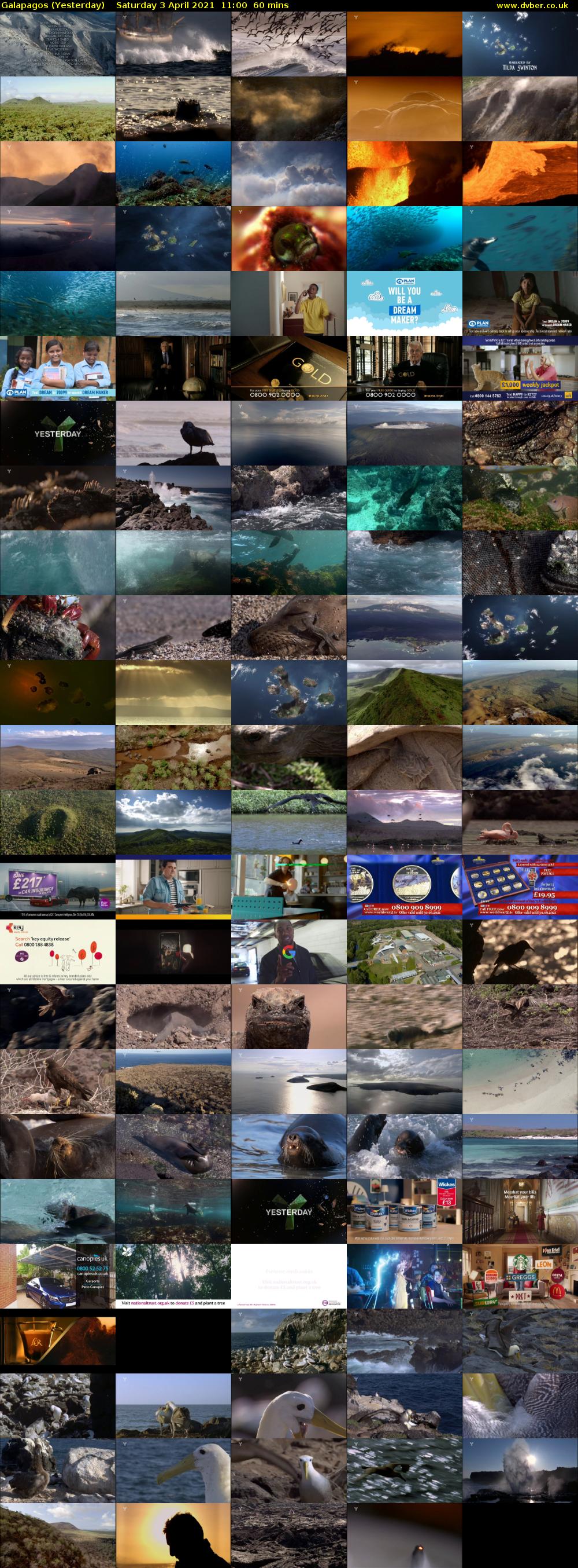 Galapagos (Yesterday) Saturday 3 April 2021 11:00 - 12:00