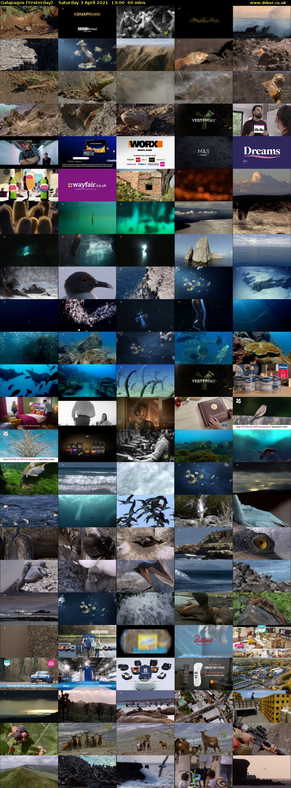 Galapagos (Yesterday) Saturday 3 April 2021 13:00 - 14:00