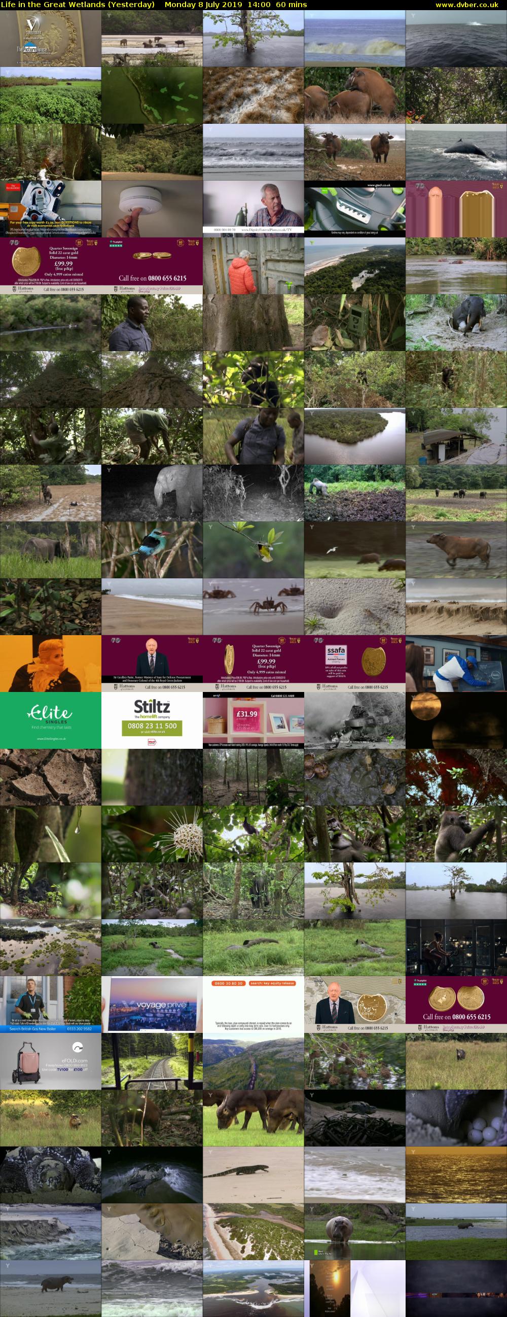 Life in the Great Wetlands (Yesterday) Monday 8 July 2019 14:00 - 15:00