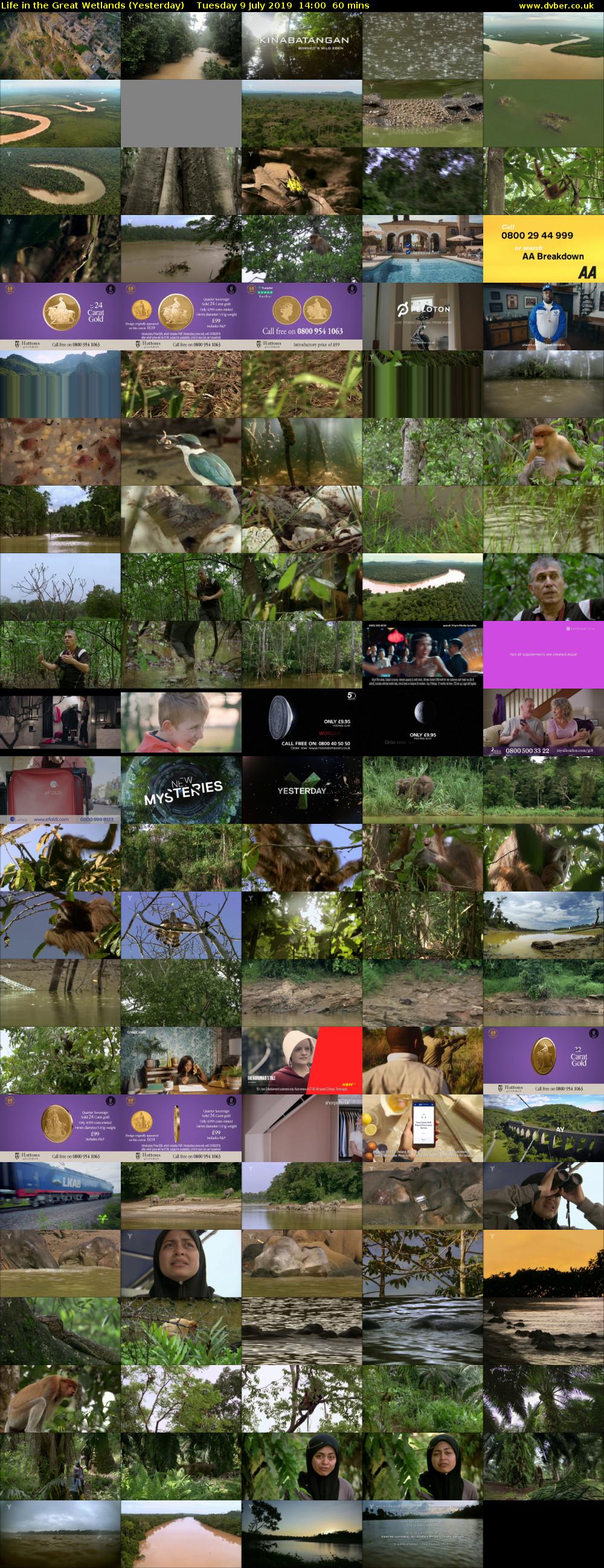 Life in the Great Wetlands (Yesterday) Tuesday 9 July 2019 14:00 - 15:00