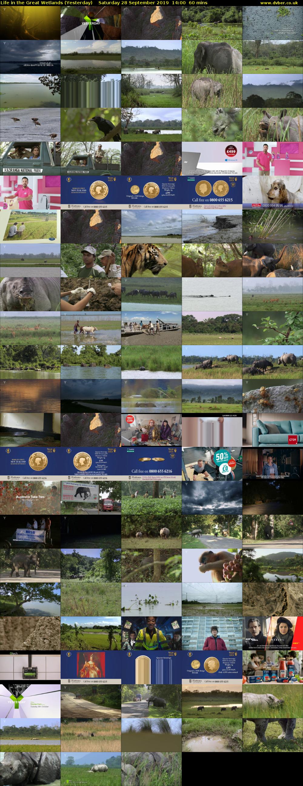 Life in the Great Wetlands (Yesterday) Saturday 28 September 2019 14:00 - 15:00