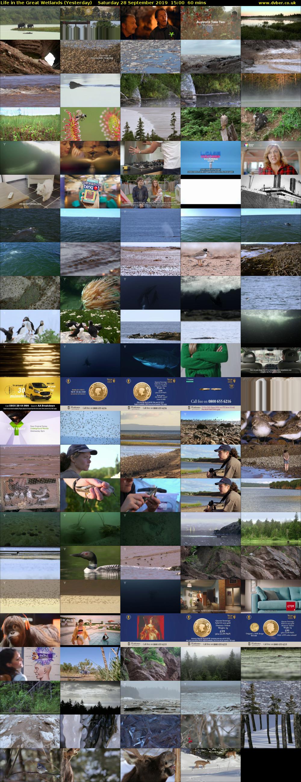 Life in the Great Wetlands (Yesterday) Saturday 28 September 2019 15:00 - 16:00