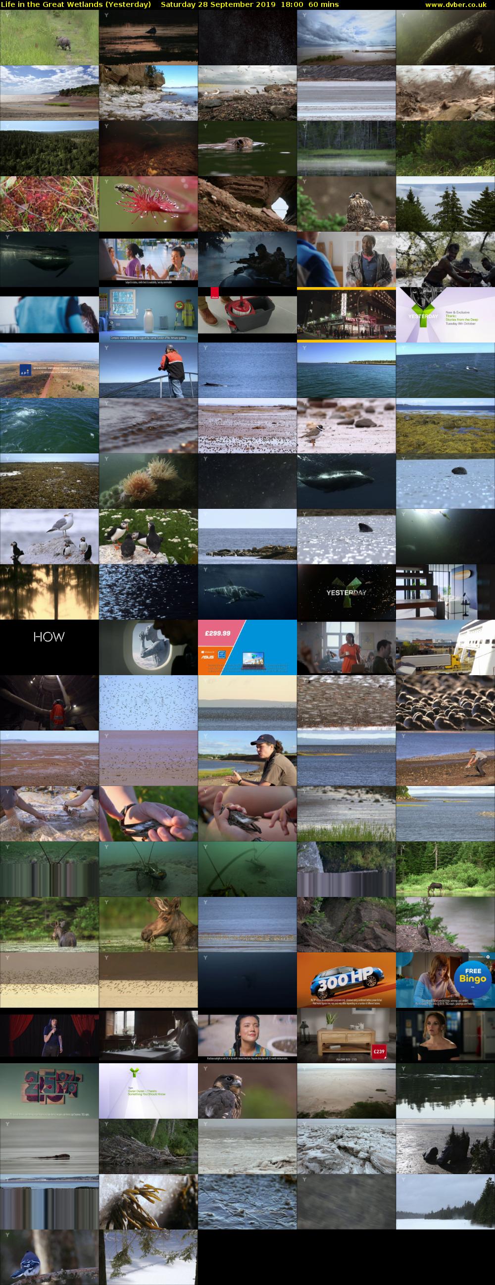 Life in the Great Wetlands (Yesterday) Saturday 28 September 2019 18:00 - 19:00
