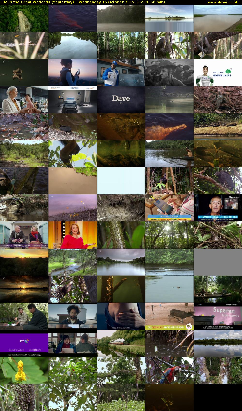 Life in the Great Wetlands (Yesterday) Wednesday 16 October 2019 15:00 - 16:00