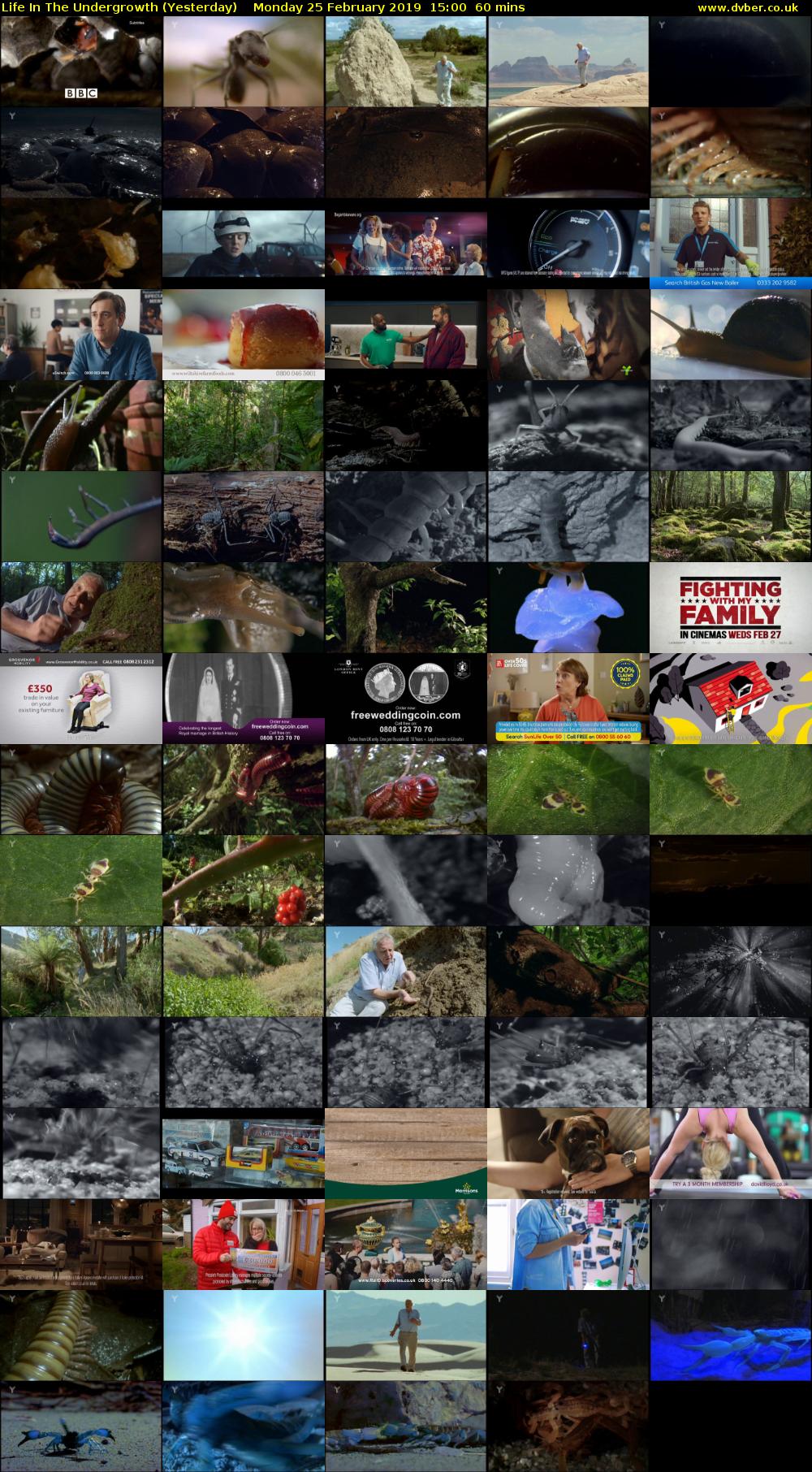 Life in the Undergrowth (Yesterday) Monday 25 February 2019 15:00 - 16:00
