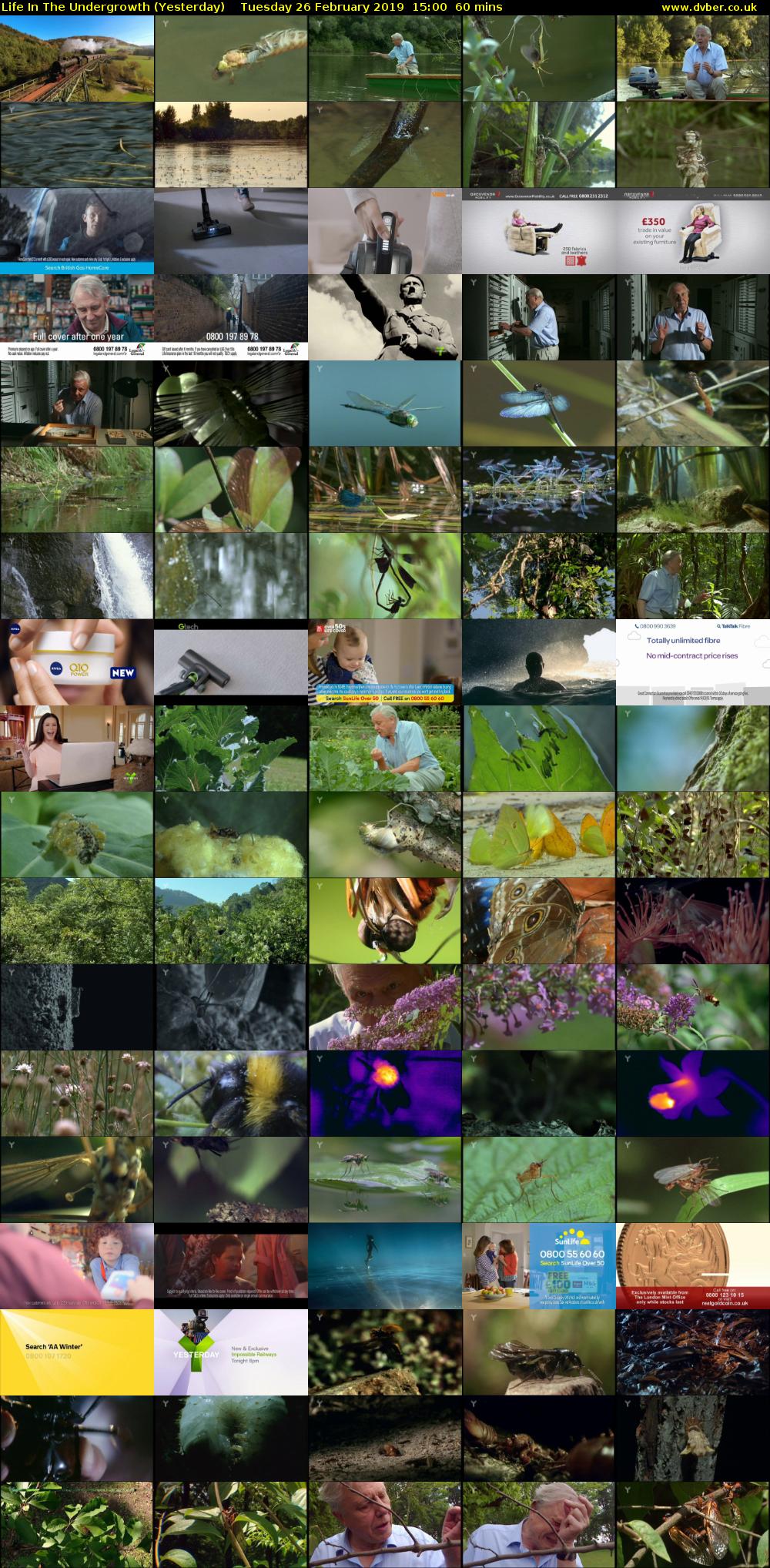Life in the Undergrowth (Yesterday) Tuesday 26 February 2019 15:00 - 16:00