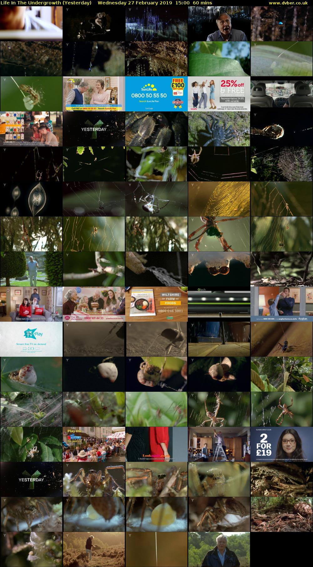 Life in the Undergrowth (Yesterday) Wednesday 27 February 2019 15:00 - 16:00