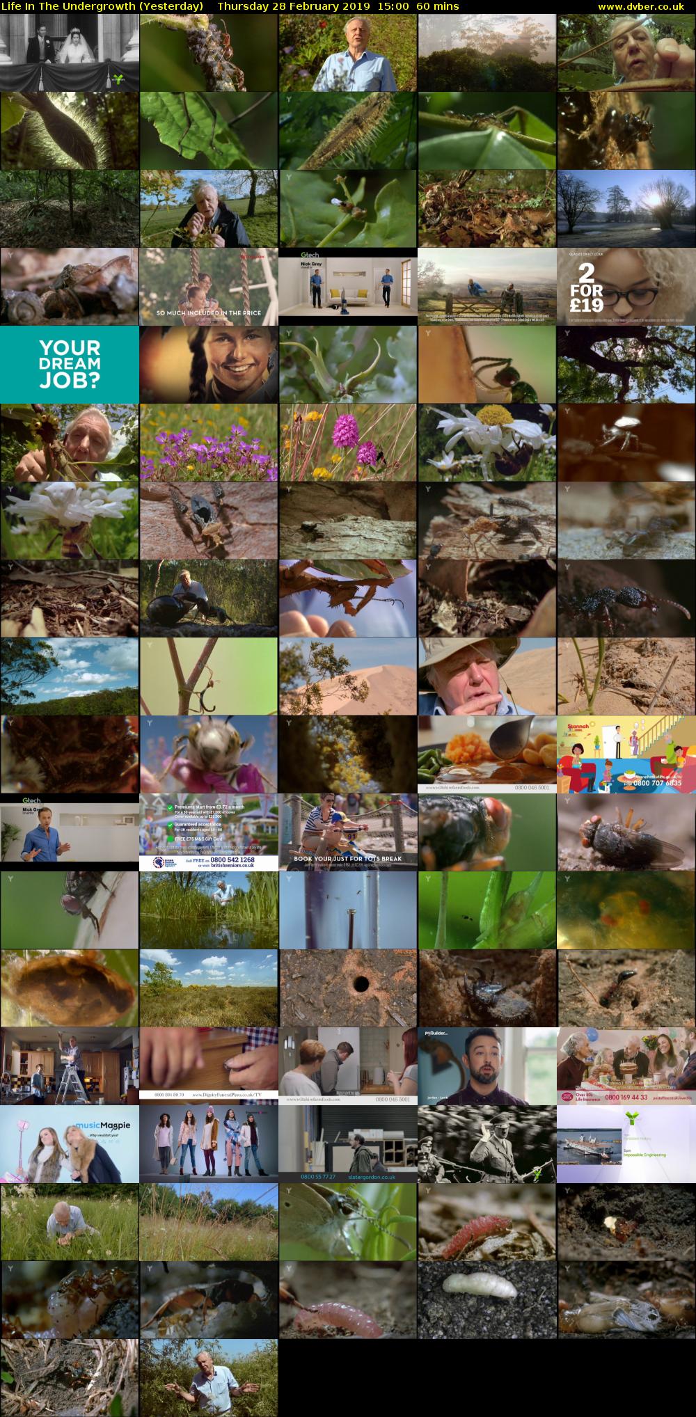 Life in the Undergrowth (Yesterday) Thursday 28 February 2019 15:00 - 16:00