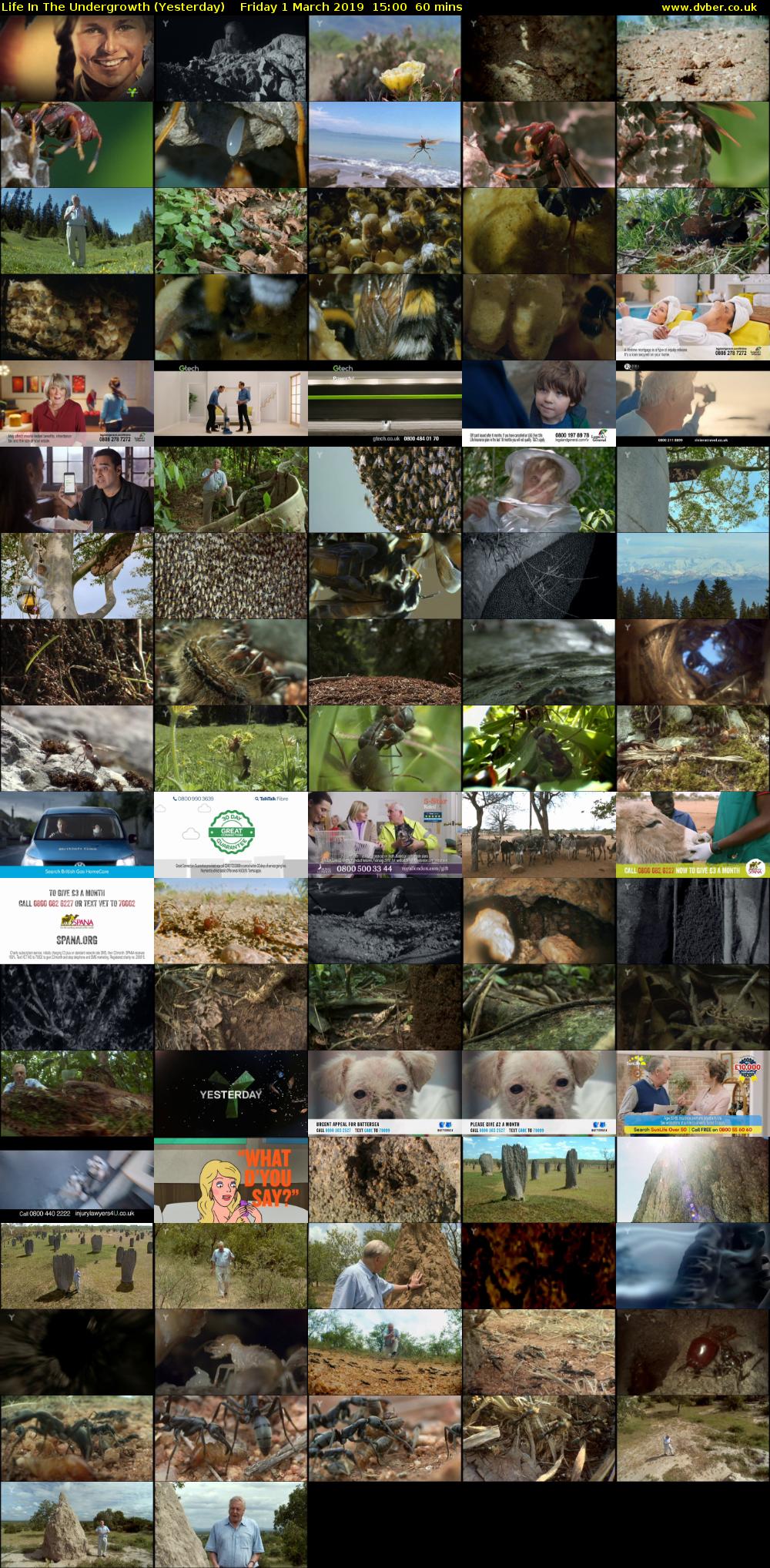 Life in the Undergrowth (Yesterday) Friday 1 March 2019 15:00 - 16:00