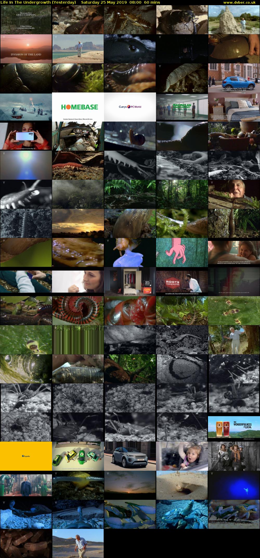 Life in the Undergrowth (Yesterday) Saturday 25 May 2019 08:00 - 09:00