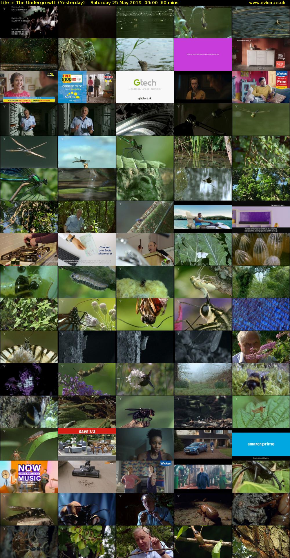 Life in the Undergrowth (Yesterday) Saturday 25 May 2019 09:00 - 10:00