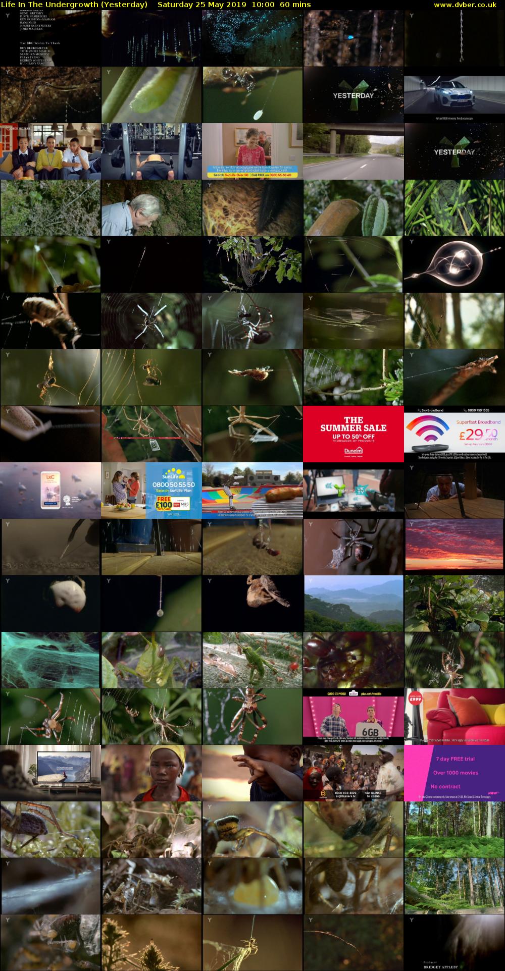 Life in the Undergrowth (Yesterday) Saturday 25 May 2019 10:00 - 11:00