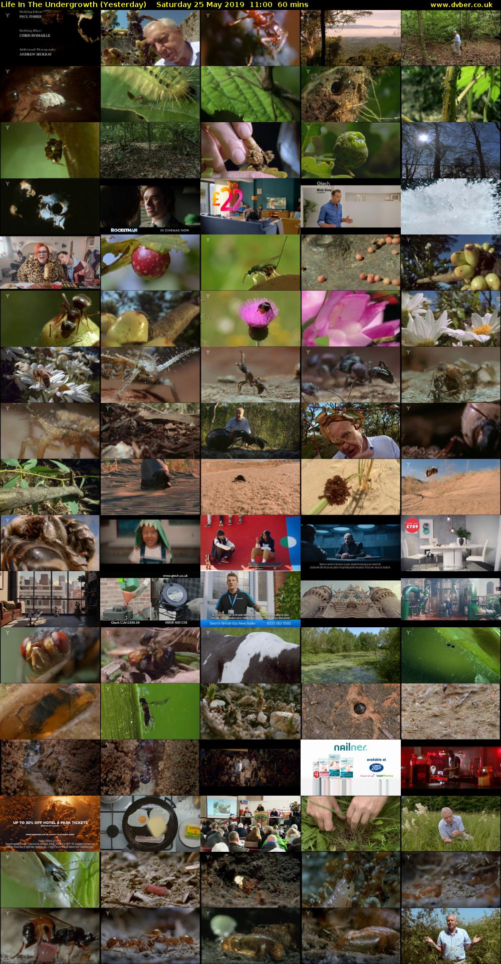 Life in the Undergrowth (Yesterday) Saturday 25 May 2019 11:00 - 12:00