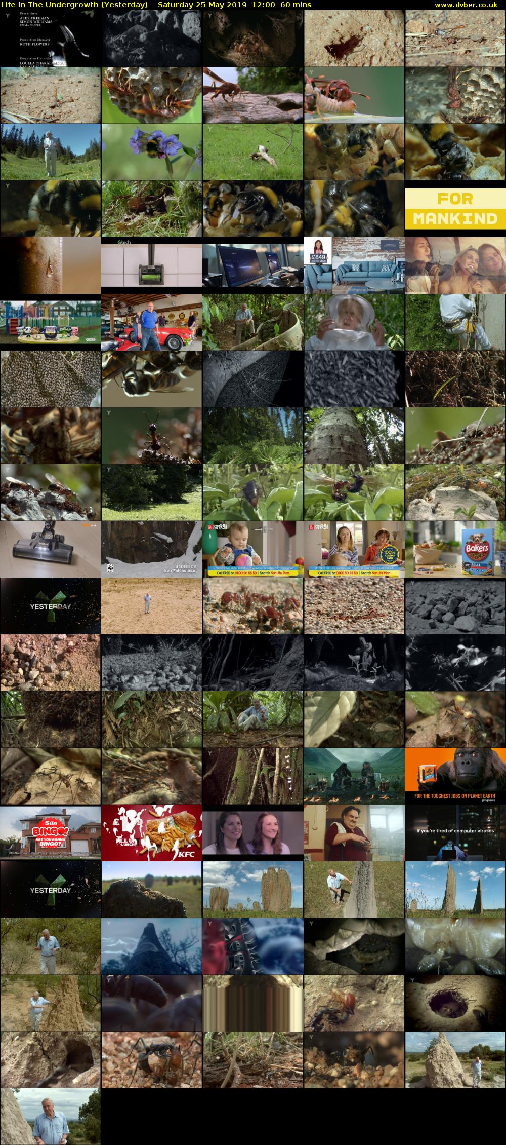 Life in the Undergrowth (Yesterday) Saturday 25 May 2019 12:00 - 13:00