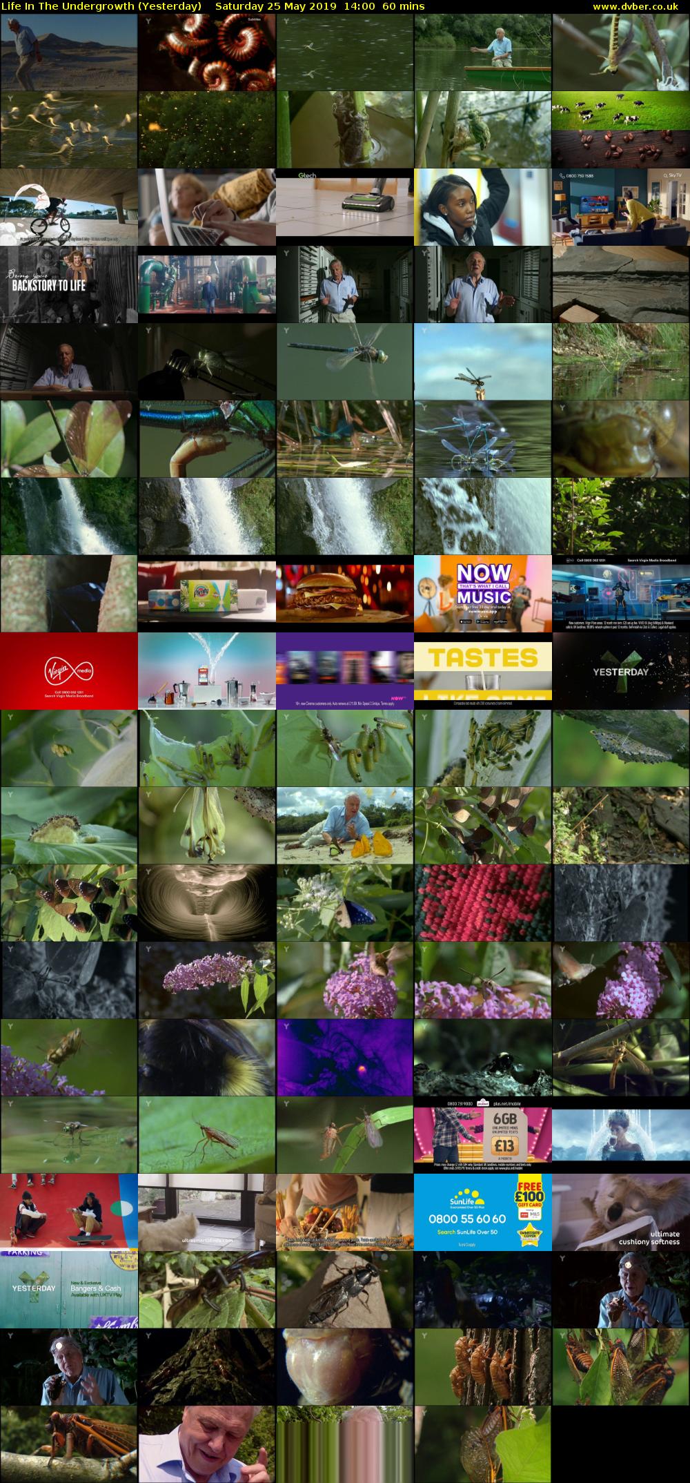 Life in the Undergrowth (Yesterday) Saturday 25 May 2019 14:00 - 15:00