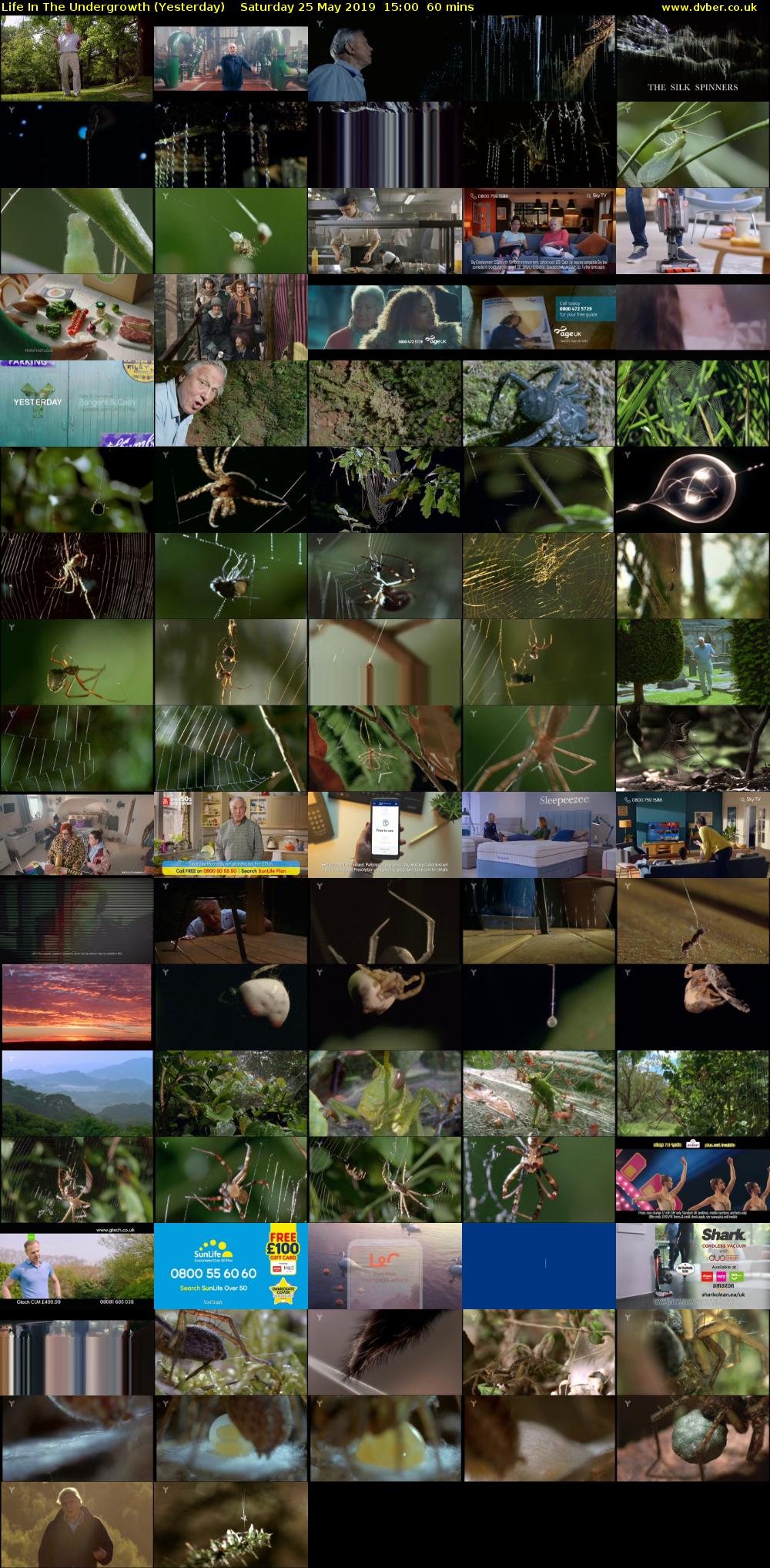 Life in the Undergrowth (Yesterday) Saturday 25 May 2019 15:00 - 16:00