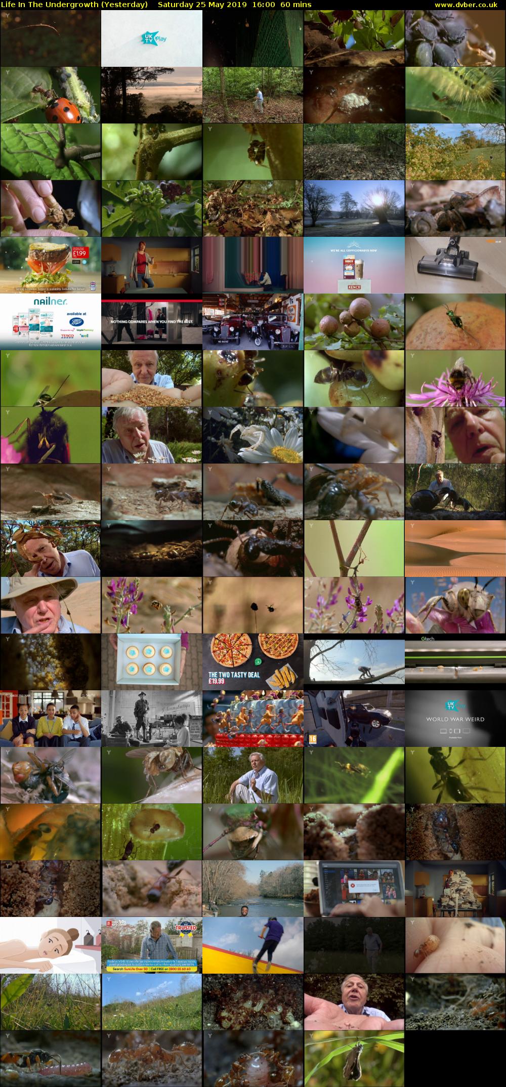 Life in the Undergrowth (Yesterday) Saturday 25 May 2019 16:00 - 17:00