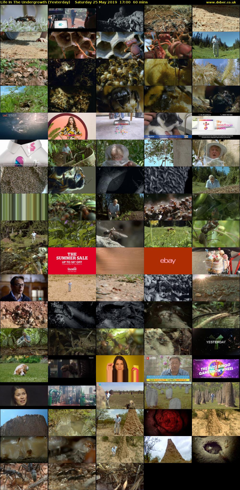 Life in the Undergrowth (Yesterday) Saturday 25 May 2019 17:00 - 18:00