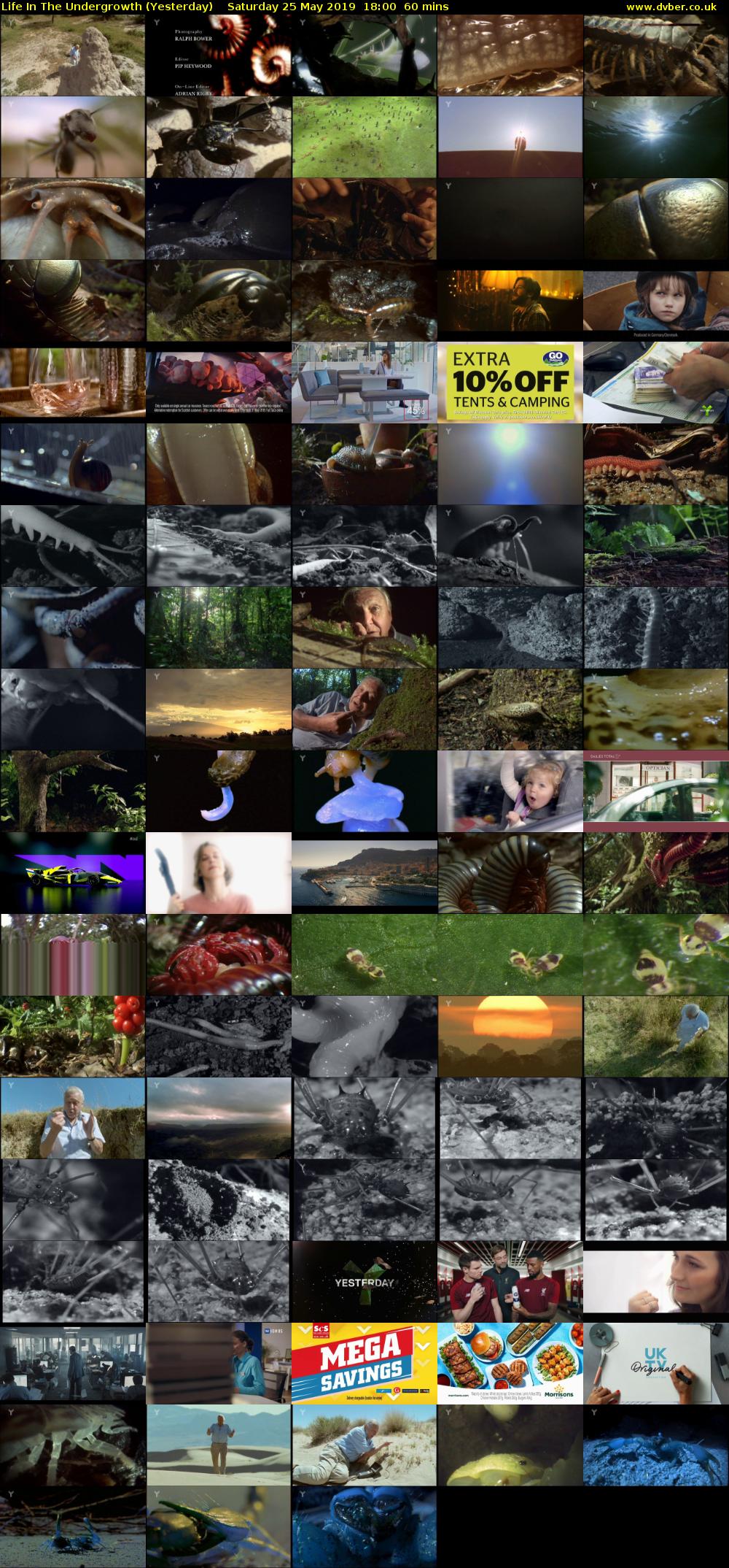 Life in the Undergrowth (Yesterday) Saturday 25 May 2019 18:00 - 19:00