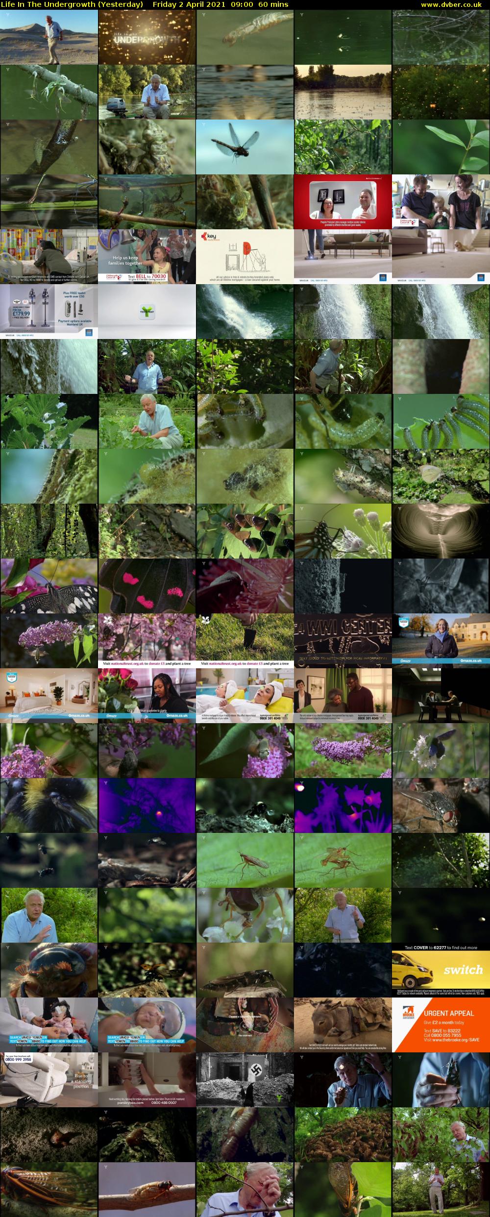 Life in the Undergrowth (Yesterday) Friday 2 April 2021 09:00 - 10:00