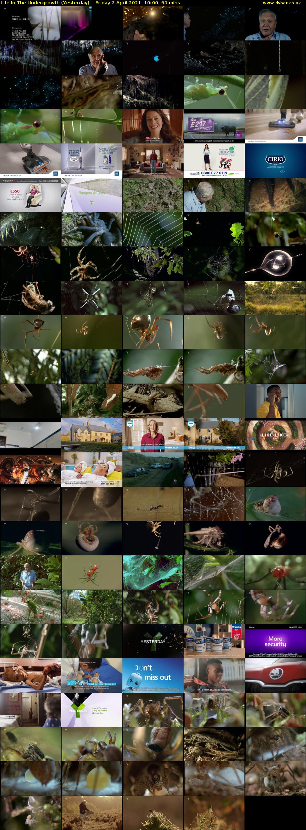 Life in the Undergrowth (Yesterday) Friday 2 April 2021 10:00 - 11:00