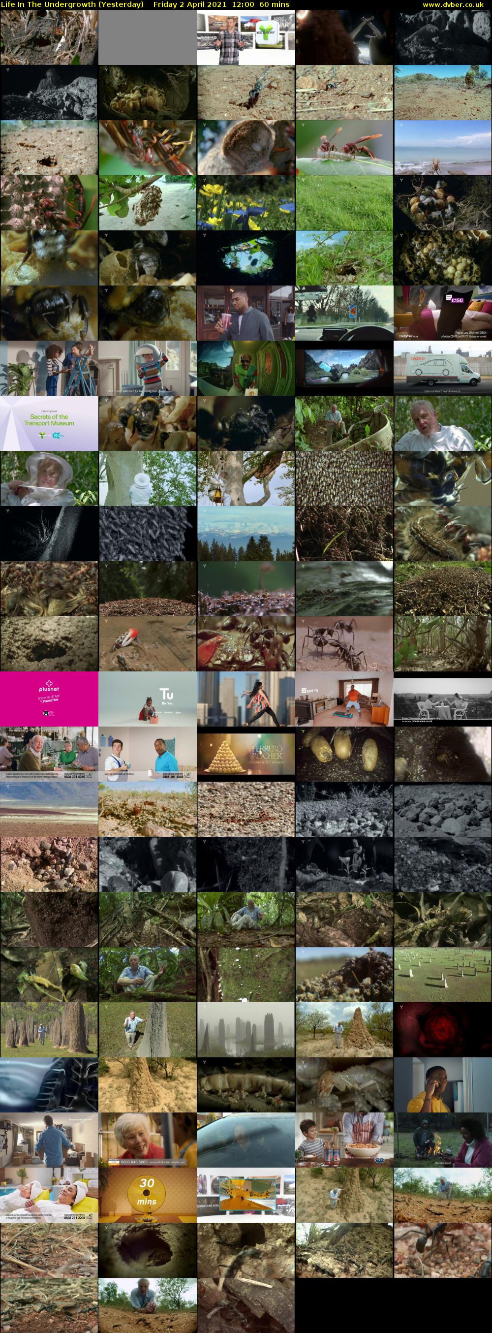 Life in the Undergrowth (Yesterday) Friday 2 April 2021 12:00 - 13:00