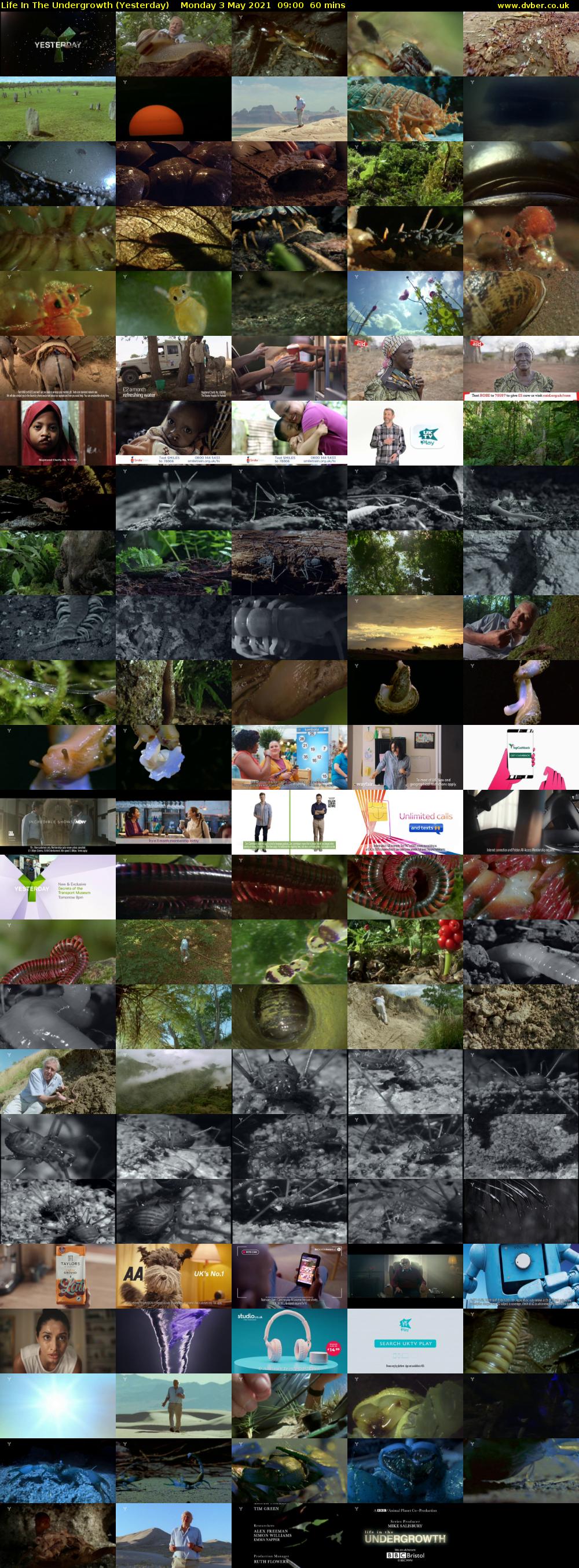 Life in the Undergrowth (Yesterday) Monday 3 May 2021 09:00 - 10:00