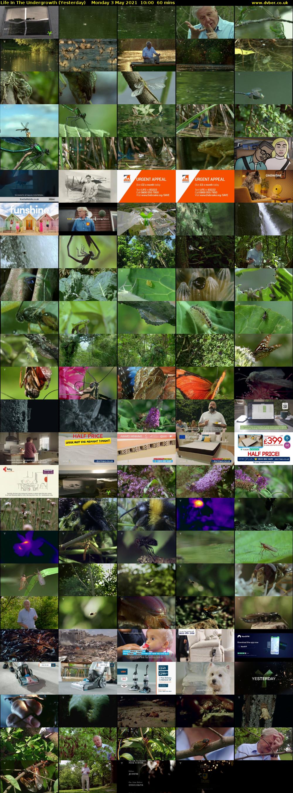 Life in the Undergrowth (Yesterday) Monday 3 May 2021 10:00 - 11:00