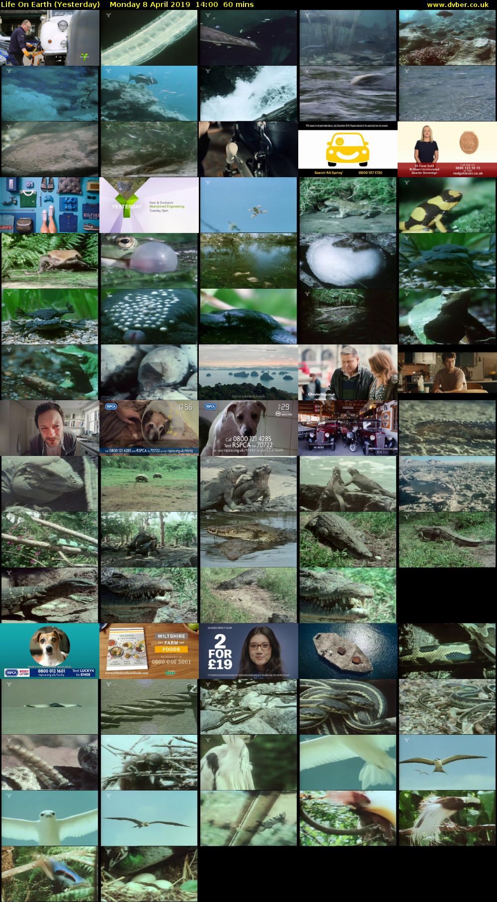 Life on Earth (Yesterday) Monday 8 April 2019 14:00 - 15:00