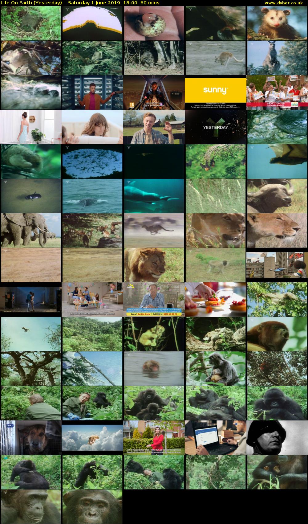 Life on Earth (Yesterday) Saturday 1 June 2019 18:00 - 19:00