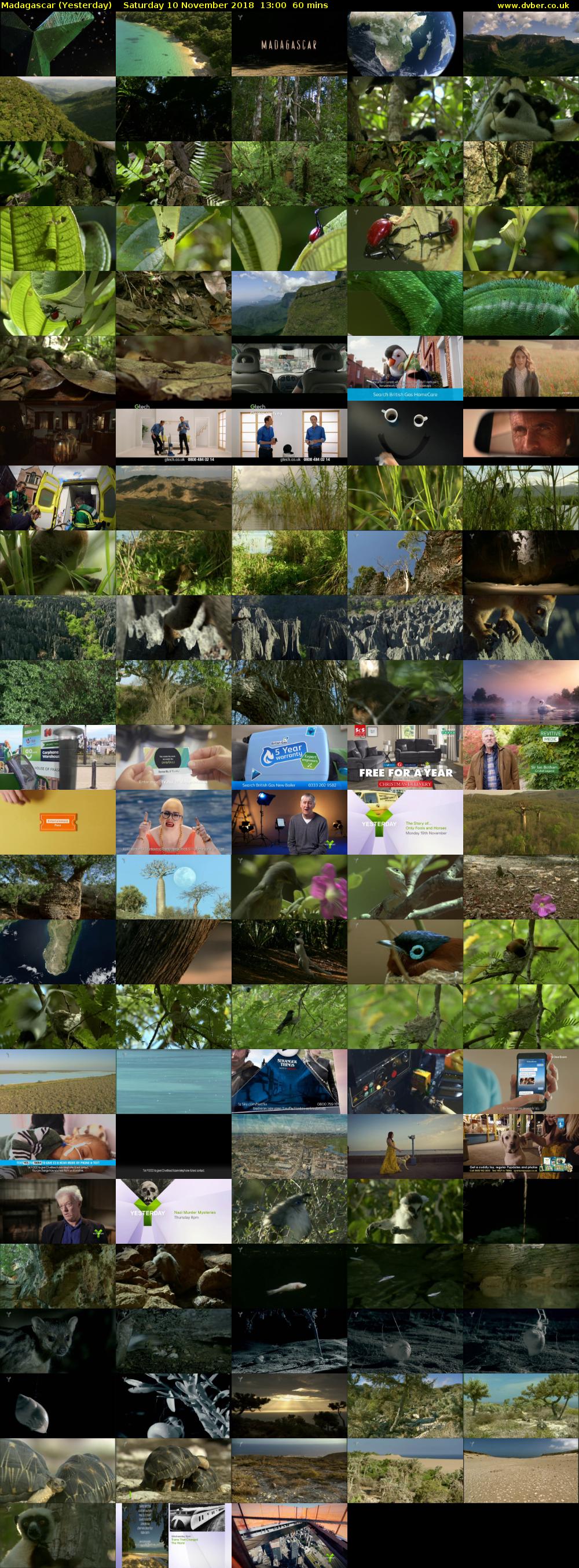 Madagascar (Yesterday) Saturday 10 November 2018 13:00 - 14:00