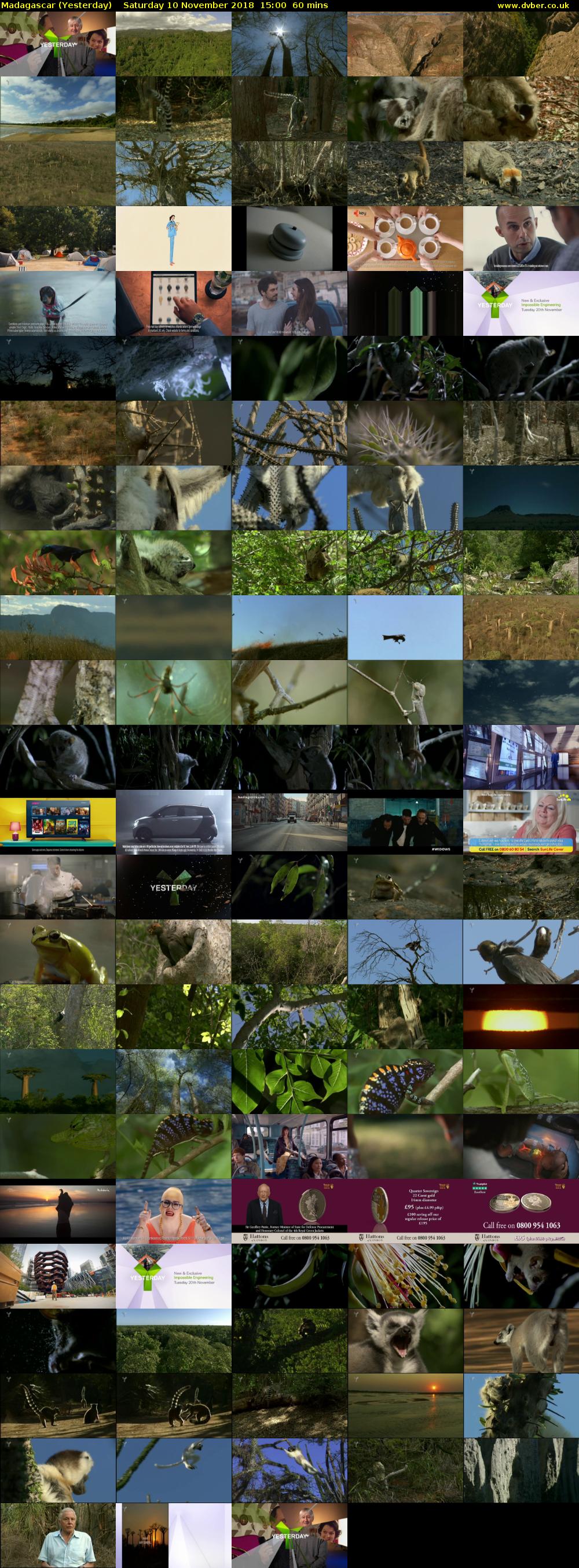 Madagascar (Yesterday) Saturday 10 November 2018 15:00 - 16:00